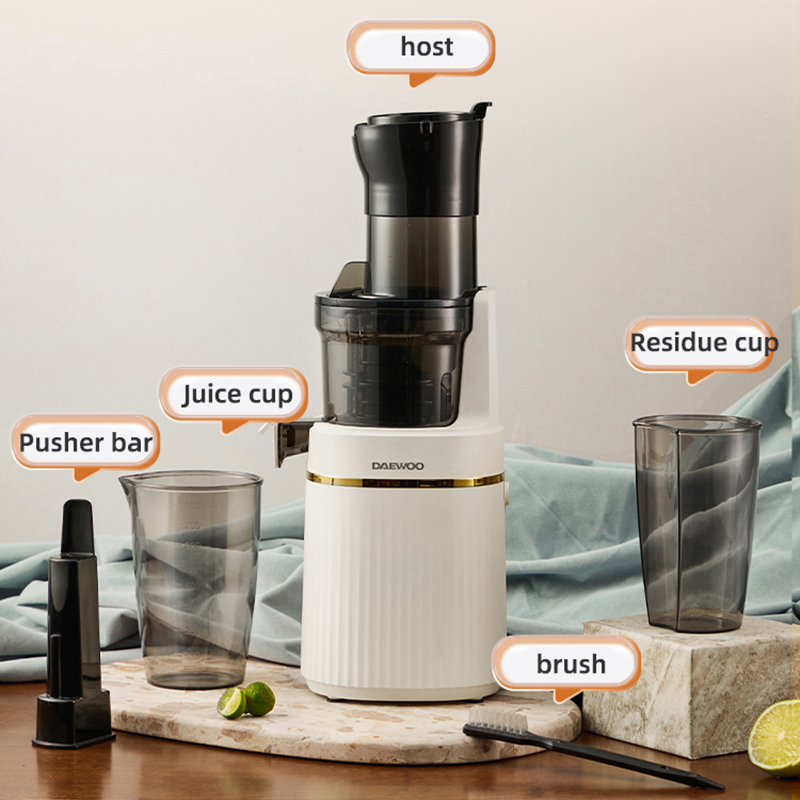 Electric Slow Juicer Cold Press - Presse-agrumes électrique lent, mélangeur Portable, extracteur
