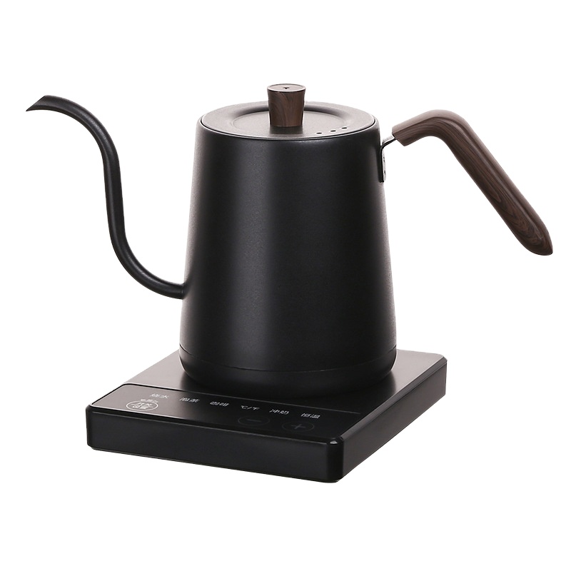 Electric Kettle Temperature Control - Bouilloire électrique à col de cygne