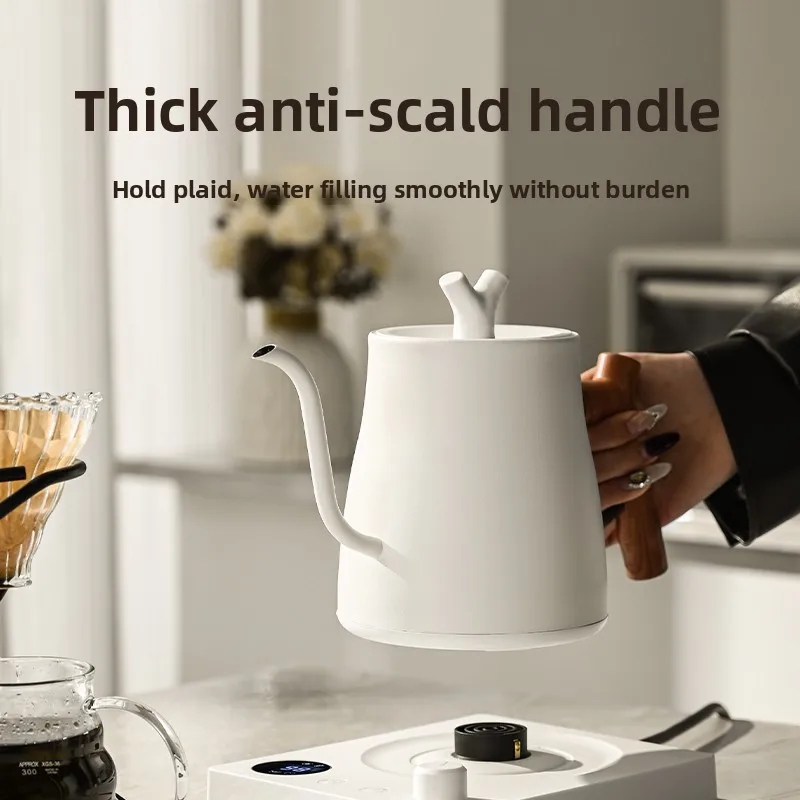 Bouilloire électrique à col de - Electric Kettle Temperature Control avis et prix