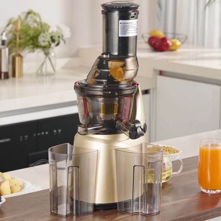 Meilleur acier inoxydable 60 m - Electric Slow Juicer Cold Press avis et prix