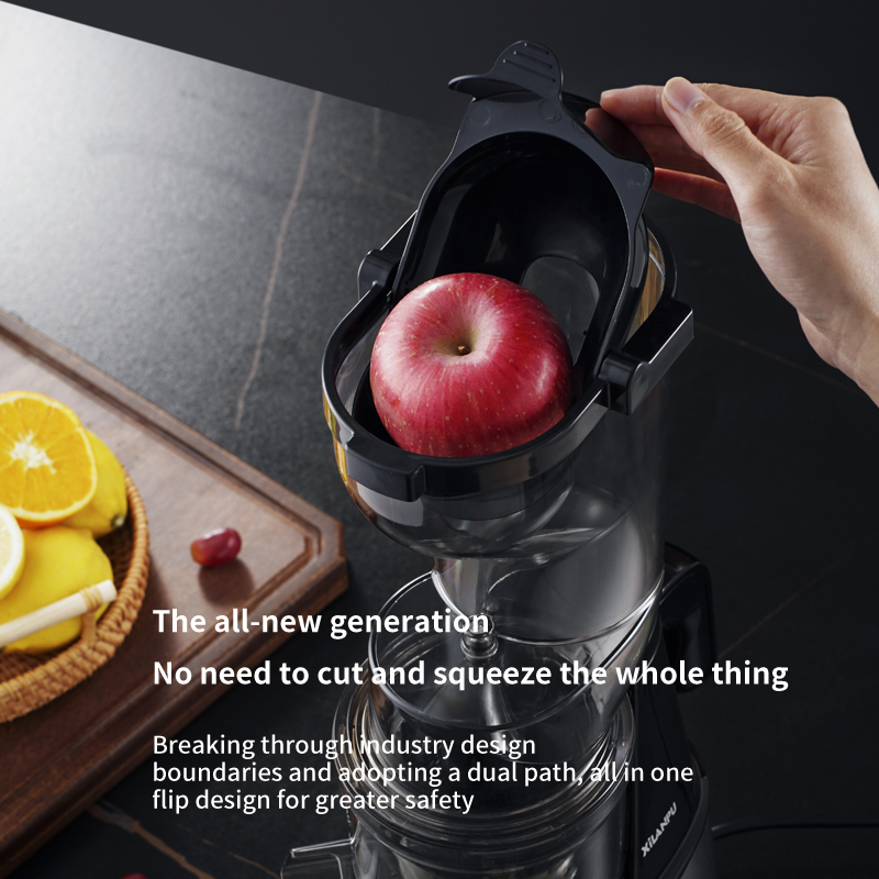 Extracteur de jus de fruits et - Electric Slow Juicer Cold Press avis et prix