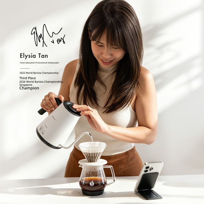 Bouilloire électrique à col de - Electric Kettle Temperature Control avis et prix