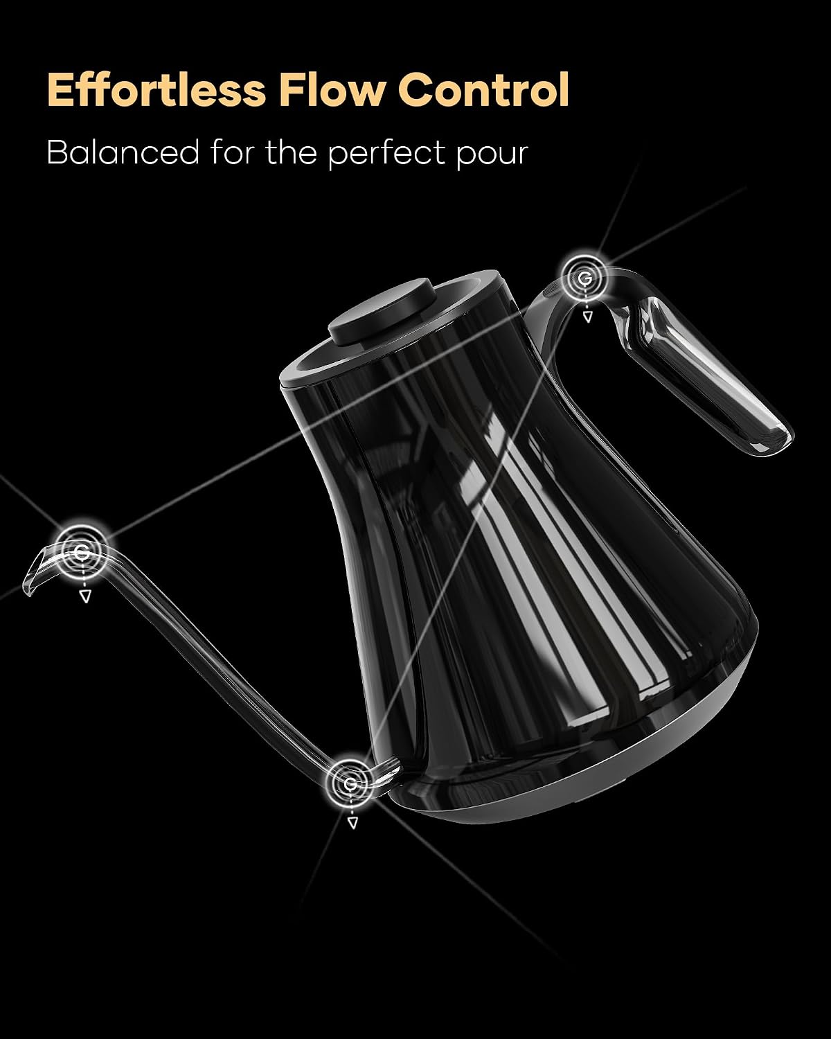 Bouilloire électrique à col de - Electric Kettle Temperature Control avis et prix