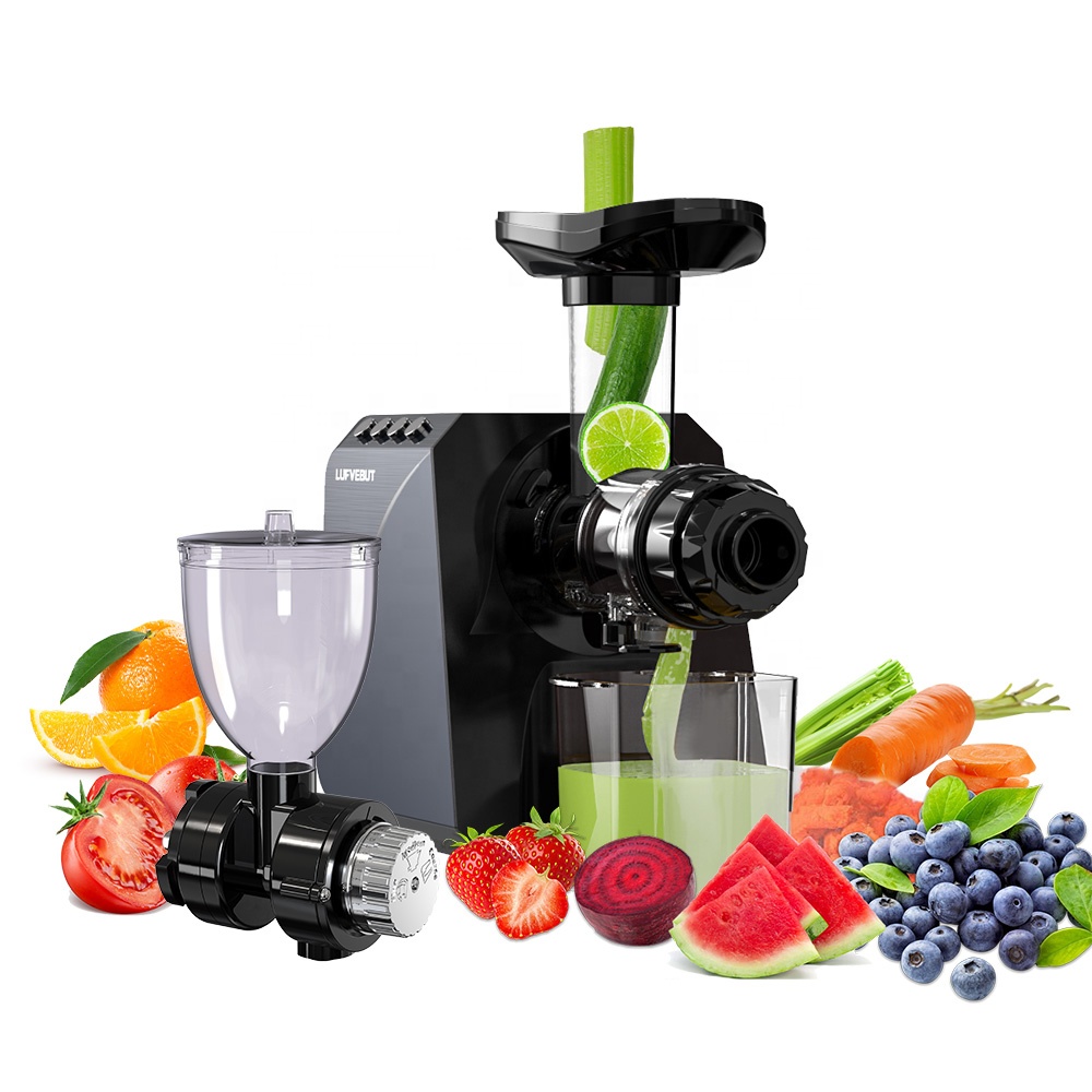 Presse-agrumes électrique lent - Electric Slow Juicer Cold Press avis et prix