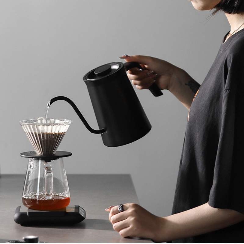 Bouilloire à café électrique à - Electric Kettle Temperature Control avis et prix