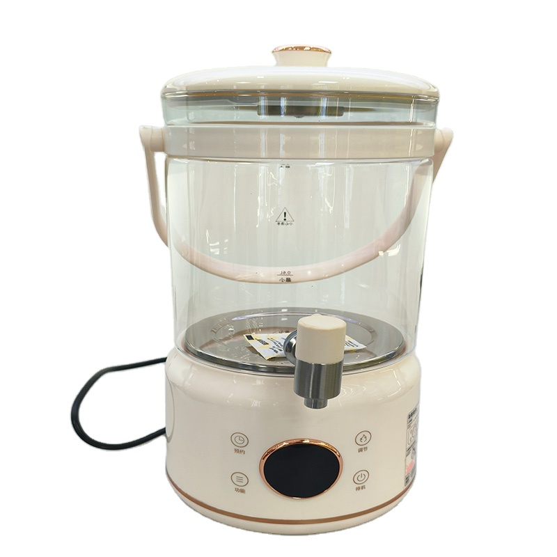 Bouilloire électrique sans fil - Electric Kettle Temperature Control avis et prix