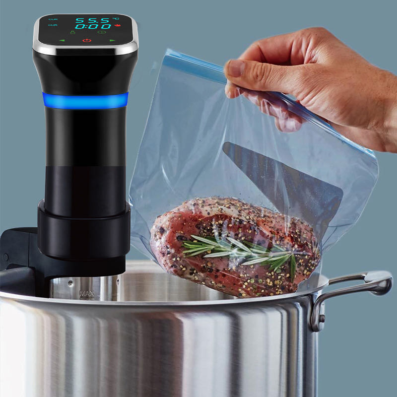 Machine Sous Vide Portable 110 - Digital Sous Vide Precision Cooker avis et prix