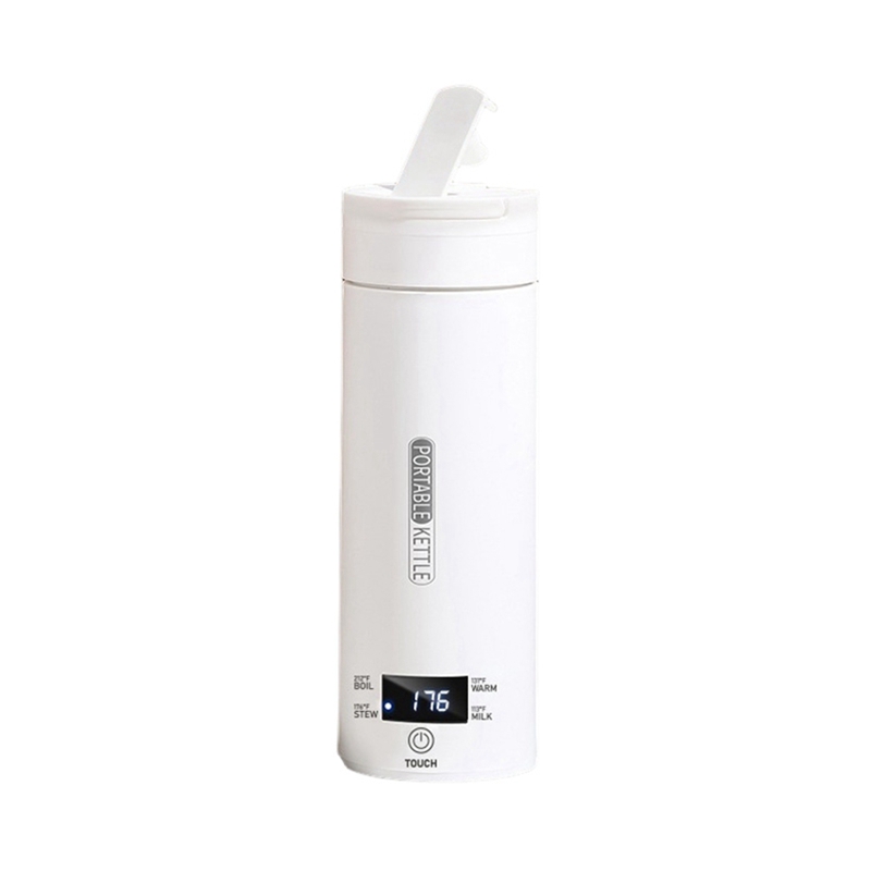 Bouilloire électrique de voyag - Electric Kettle Temperature Control avis et prix