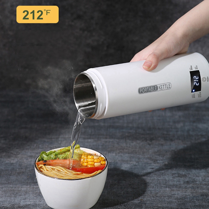 Bouilloire électrique de voyag - Electric Kettle Temperature Control avis et prix